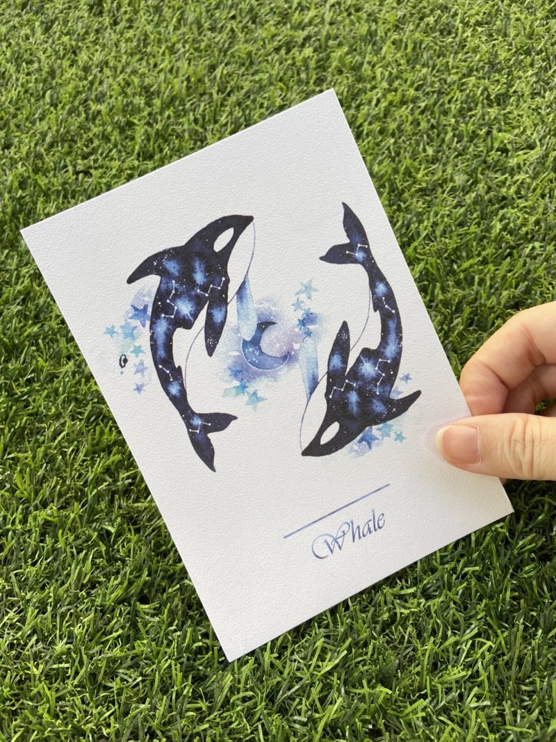 明信片　彩鲸星空虎鲸蓝 - 卡片/明信片 - 纸 蓝色