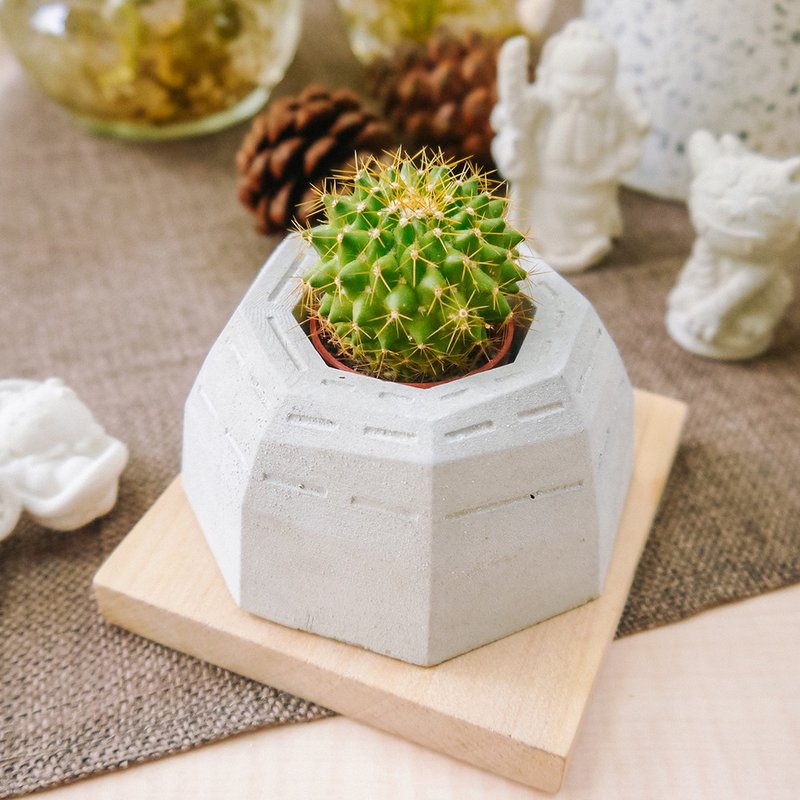 水泥盆栽｜清璞设计款：八卦｜不含植物 - 植栽/盆栽 - 水泥 灰色