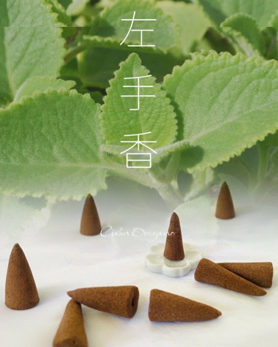 天然草本植物左手香 手作合香【塔香 到手清香】疗愈系  清新修复 - 香薰/精油/线香 - 其他材质 