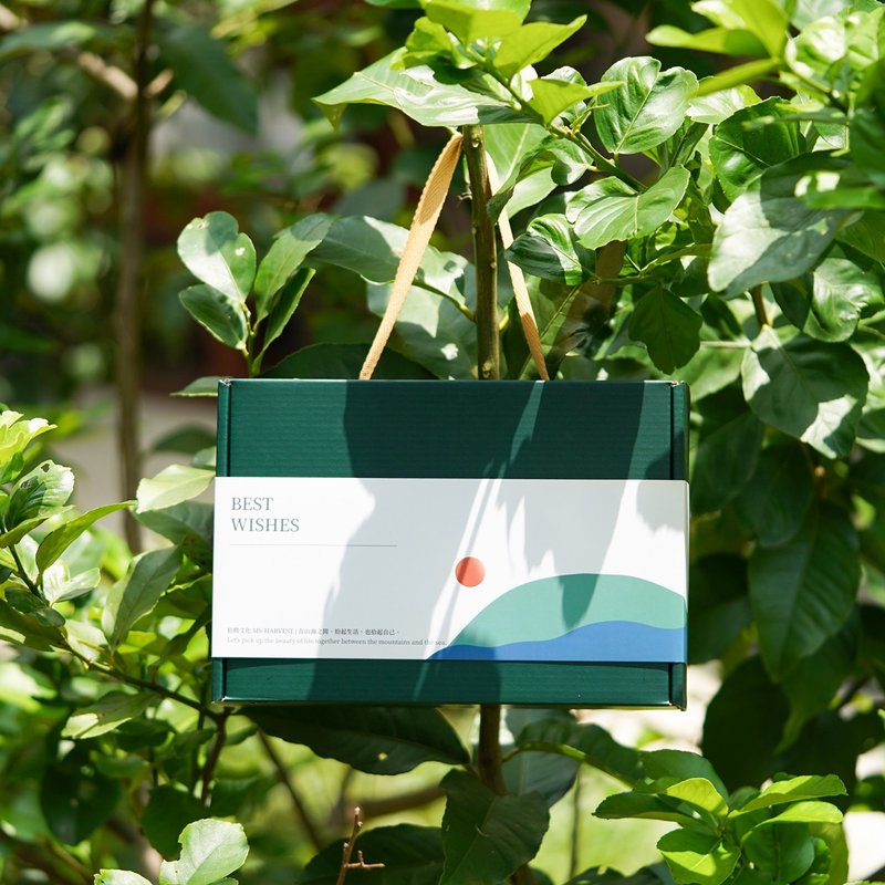 【拾间】长籼米礼盒－三入组－送礼推荐 - 五谷杂粮/米 - 新鲜食材 绿色