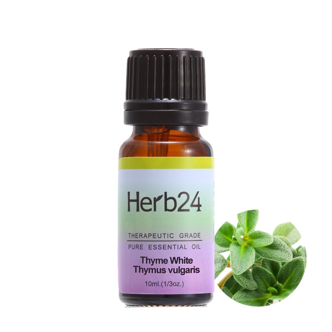 百里香 纯质精油 10ml - 香薰/精油/线香 - 精油 