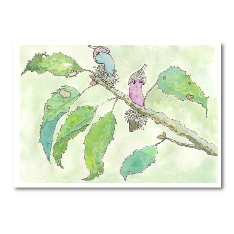 森林中的橡实帽  明信片/万用卡 - 卡片/明信片 - 纸 