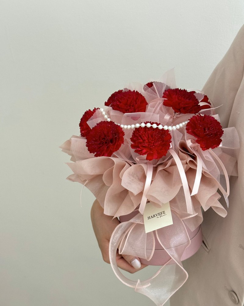 母亲节 康乃馨抱抱花桶 可扩香附灯串 - 干燥花/捧花 - 植物．花 红色