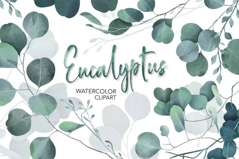 Eucalyptus Watercolor Floral clipart. Eucalyptus Watercolor clipart PNG - 插画/绘画/写字 - 其他材质 