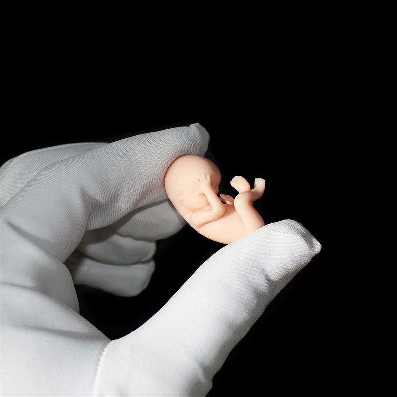 Fetus 11 weeks - 玩偶/公仔 - 其他材质 