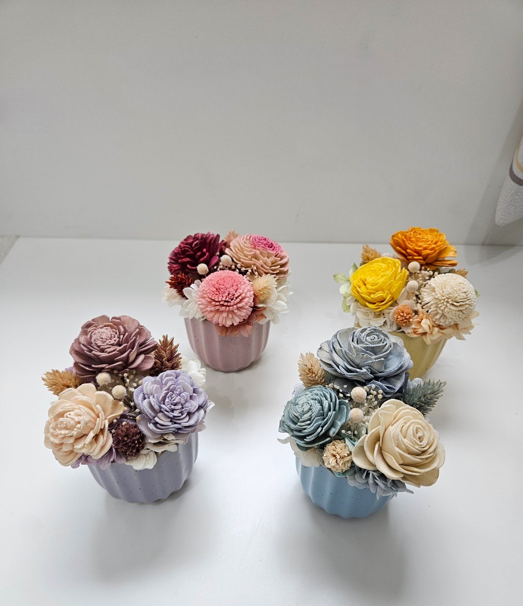 缤纷色系可爱小桌花 扩香花花礼 索拉花 - 干燥花/捧花 - 植物．花 