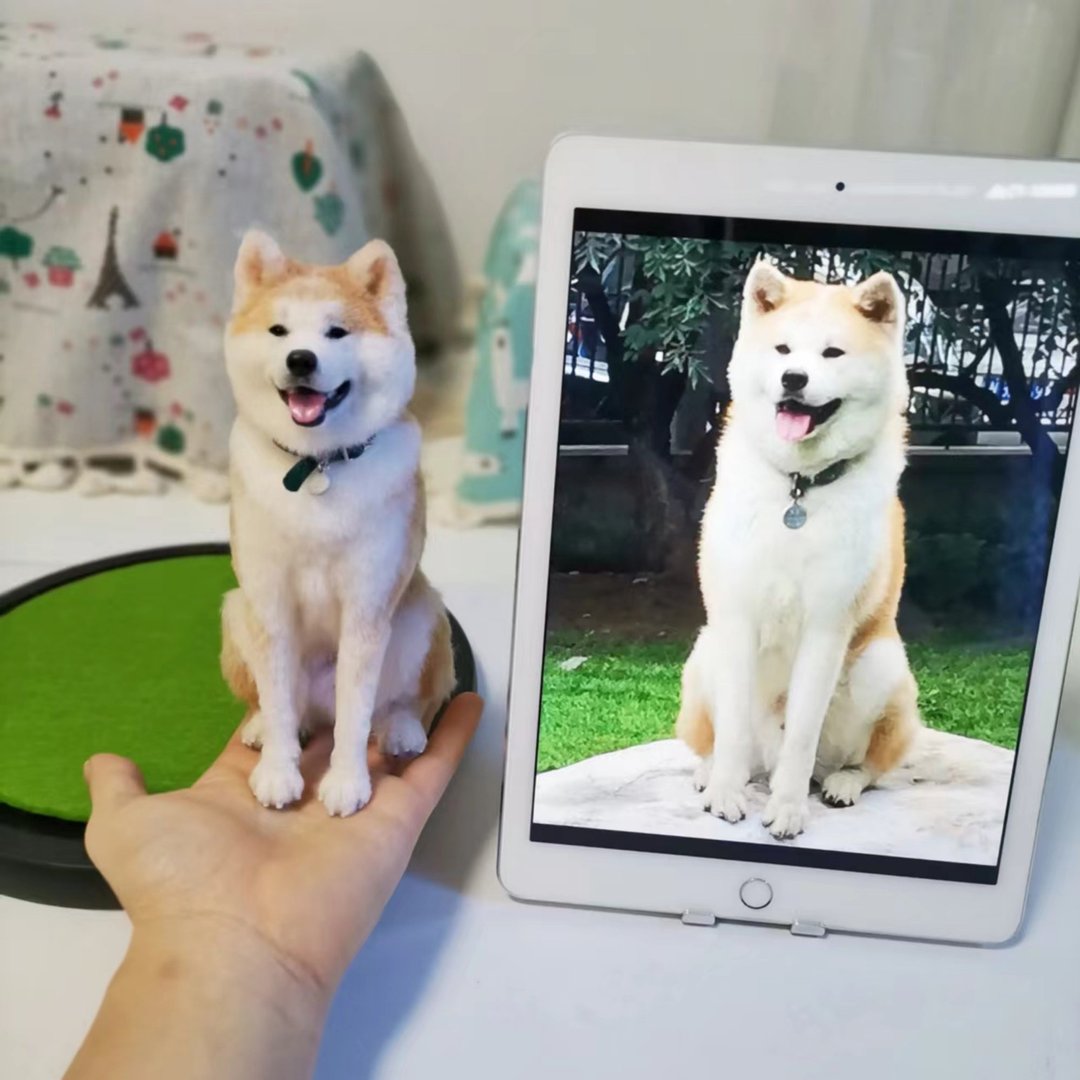 定制 逼真犬 毛孩 宠物 秋田犬 羊毛毡 娃娃 似颜绘 纪念 狗狗 k8 - 玩具 - 羊毛 多色