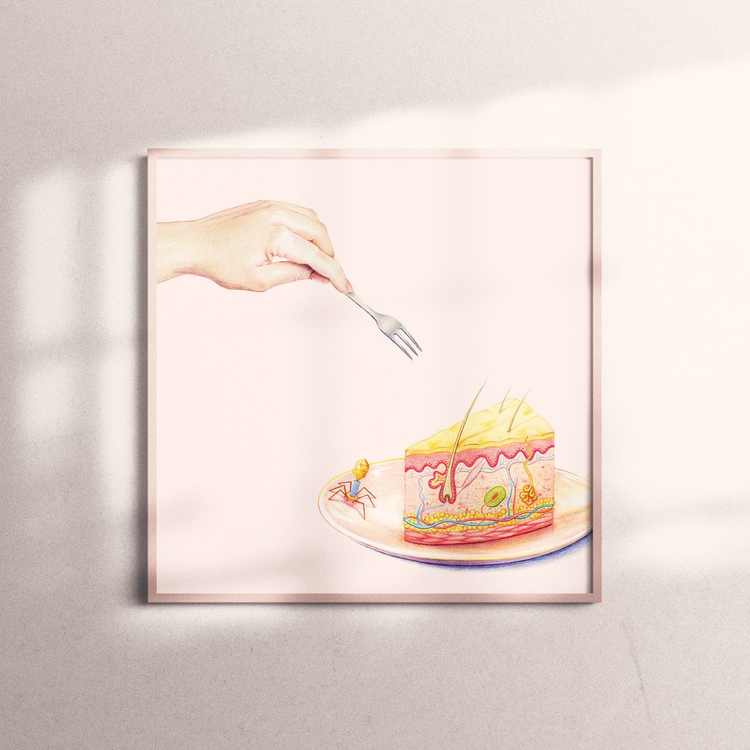 复制画-Skin Cake | 皮肤蛋糕 - 海报/装饰画/版画 - 纸 
