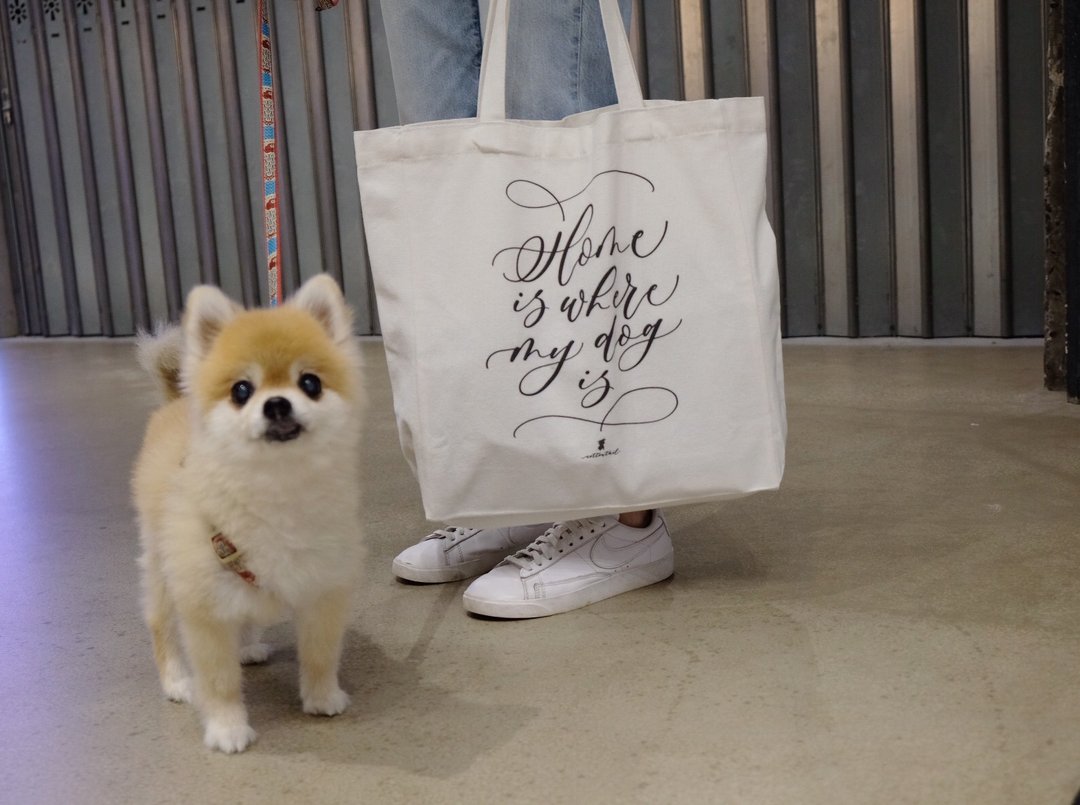 cottontail // Home is where my dog is // 帆布包 托特包 - 手提包/手提袋 - 其他材质 白色