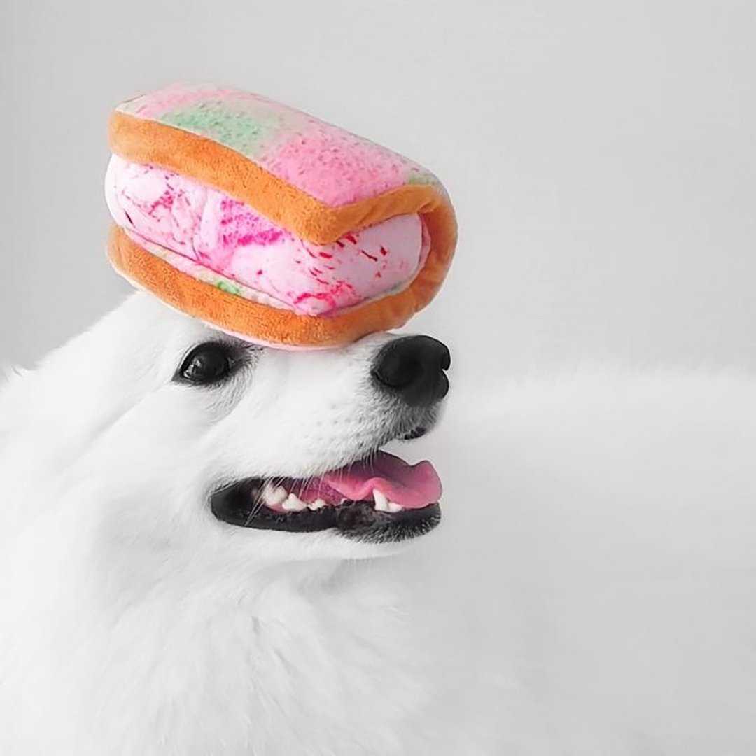 Furball Ice Cream Sandwich Squeakie Chew Toy - 玩具 - 棉 多色
