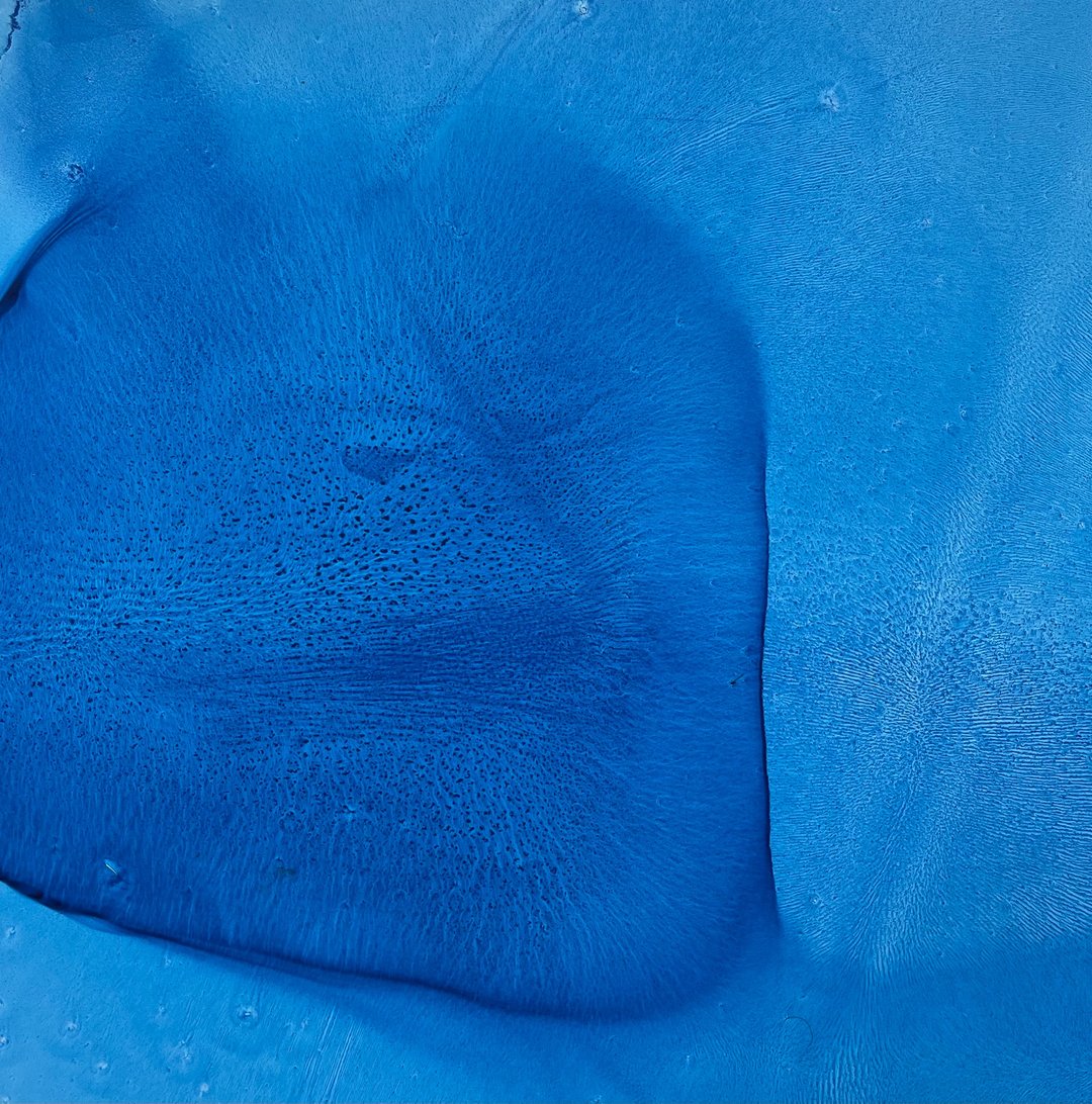 Water-6、艺术印刷、水抽像印刷、抽象艺术品、水元素 - 墙贴/壁贴 - 其他材质 蓝色