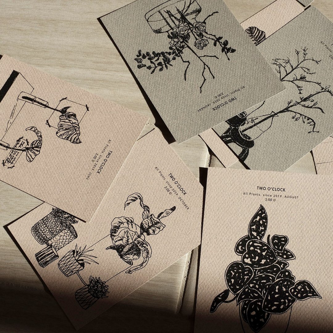 all plants 2019 / 附信封 / 单购或三入优惠组 - 卡片/明信片 - 纸 多色