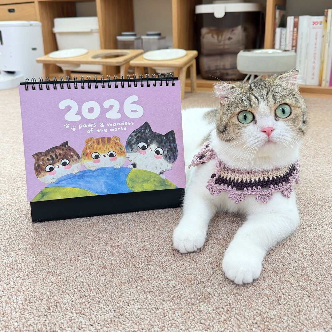 2026猫猫环游世界桌历 - 年历/台历 - 纸 紫色