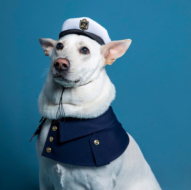 皇家舰长 | ZAZAZOO宠物服饰 - 衣/帽 - 棉．麻 蓝色