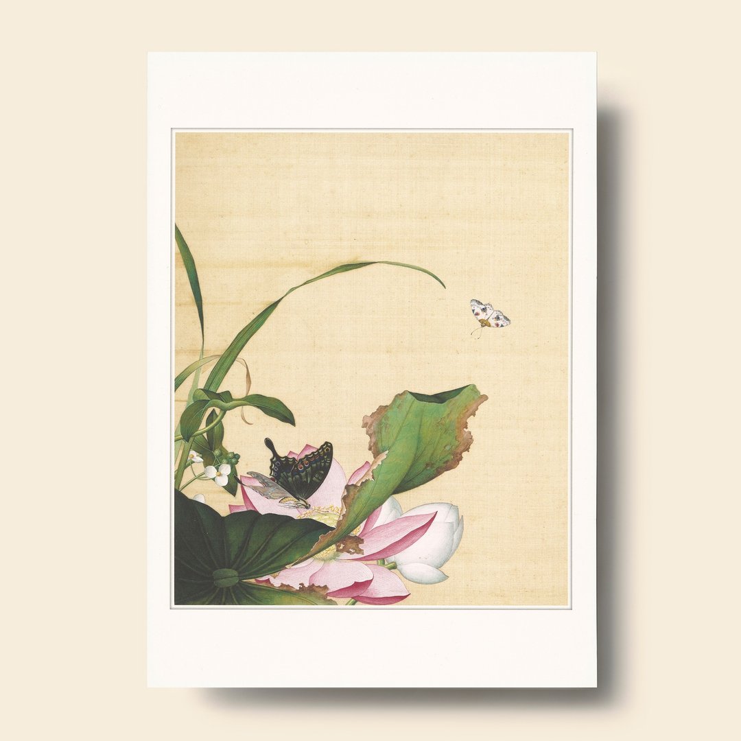 【B4 艺术画卡・B4 Poster】郎世宁・仙萼长春 荷花慈姑 - 海报/装饰画/版画 - 纸 卡其色
