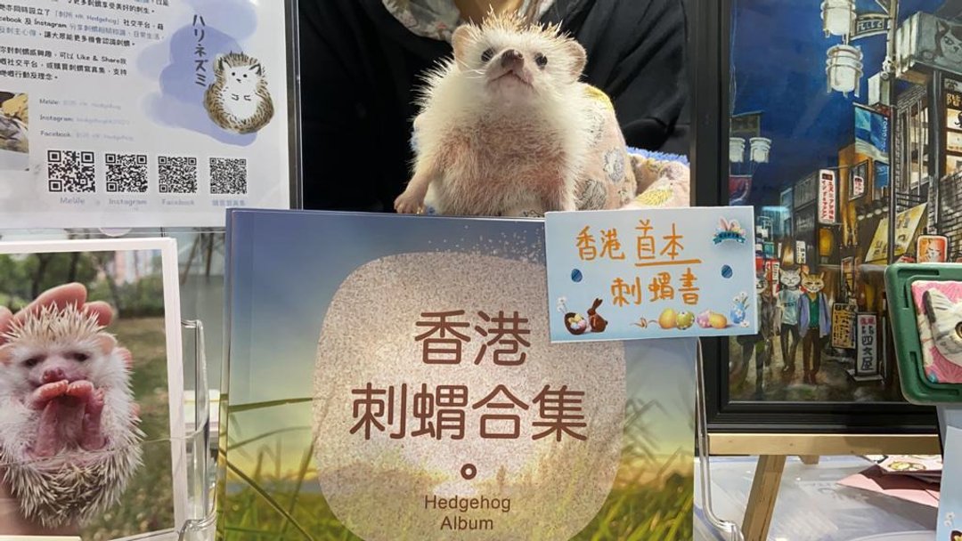 香港刺猬合集 - 香港首本刺猬写真集 摄影集 - 摄影集 - 纸 