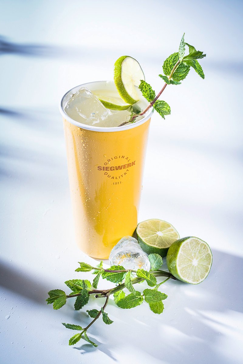 【SIEGWERK】德国珐琅随行杯480ml_芥末黄 - 水瓶/水壶 - 珐琅 黄色