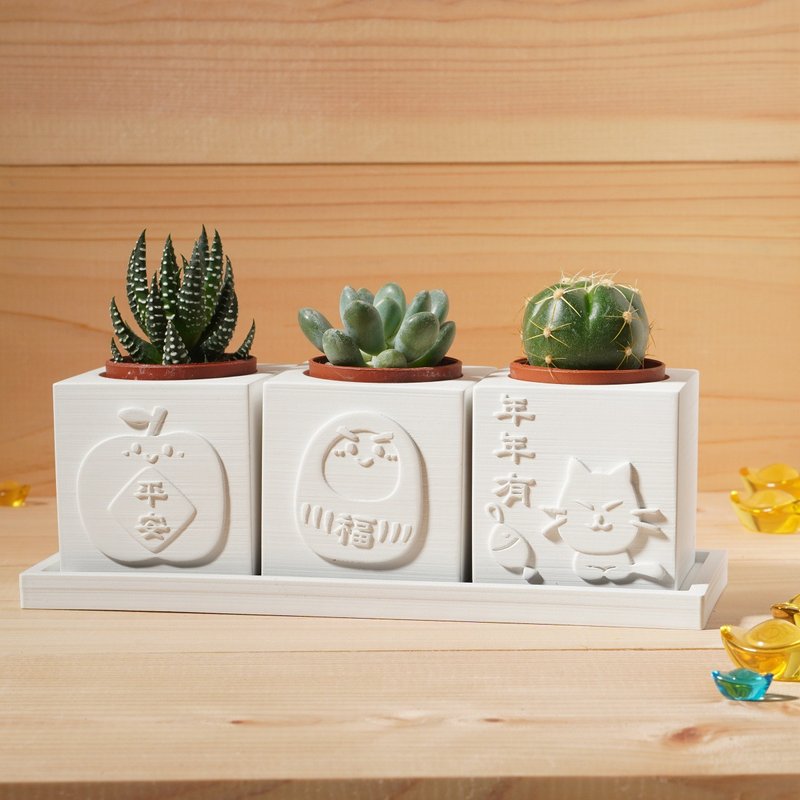 【定制化礼物】平安是福年年有余 | 多肉植物水泥盆栽4件组 雷雕 - 植栽/盆栽 - 水泥 白色