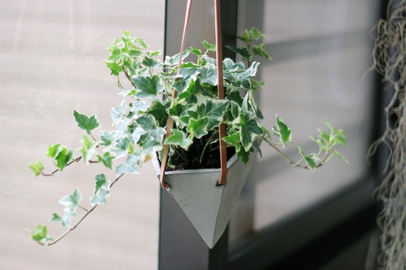 花束 | 水泥几何悬吊盆器 花器 - 花瓶/陶器 - 水泥 灰色