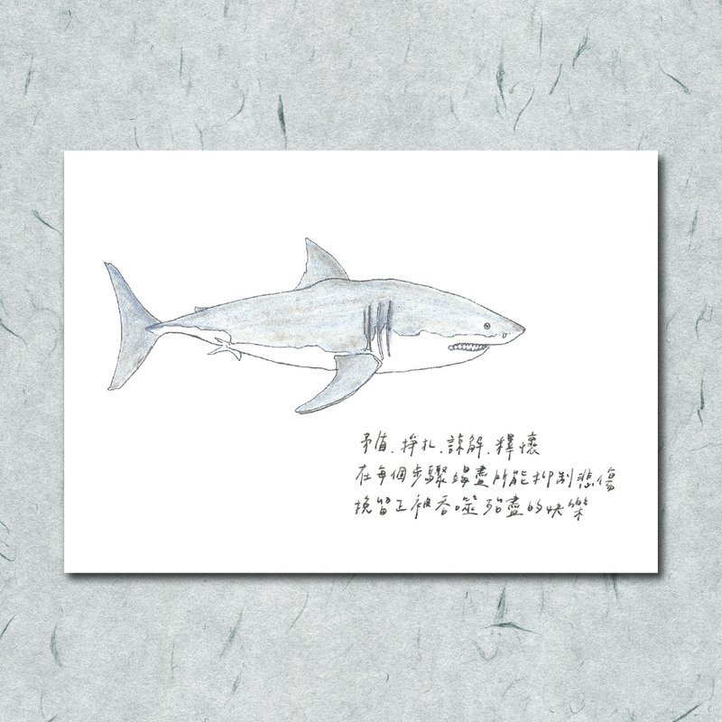 动物与它的诗70/ 鲨鱼/ 手绘 /卡片 明信片 - 卡片/明信片 - 纸 