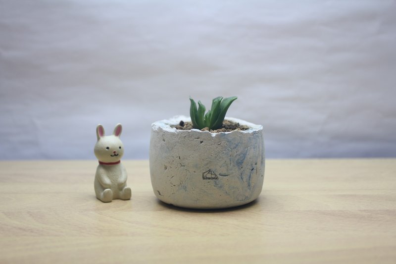 多肉植物小盆栽-典雅，青花瓷的优雅 - 植栽/盆栽 - 水泥 白色