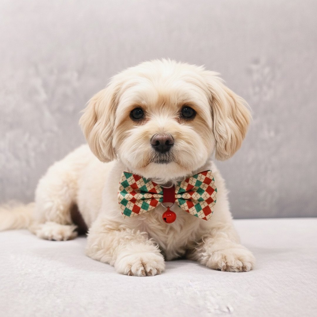 菱格款 蝴蝶结宠物装饰项圈 猫咪 小型犬 迷你犬 - 项圈/牵绳 - 棉 红色