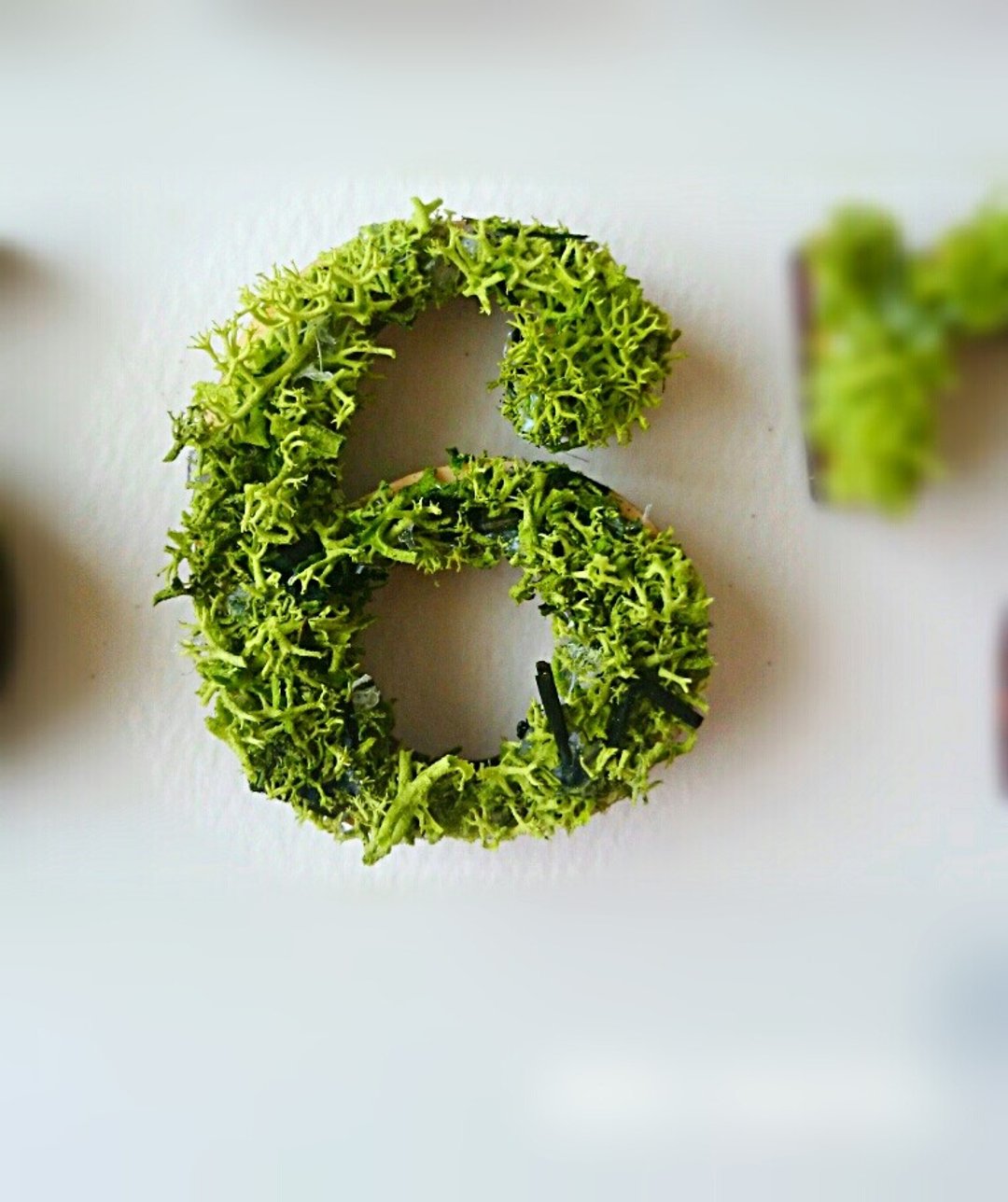 Wooden number object (moss) 5 cm /６x 1 piece - 摆饰 - 木头 绿色