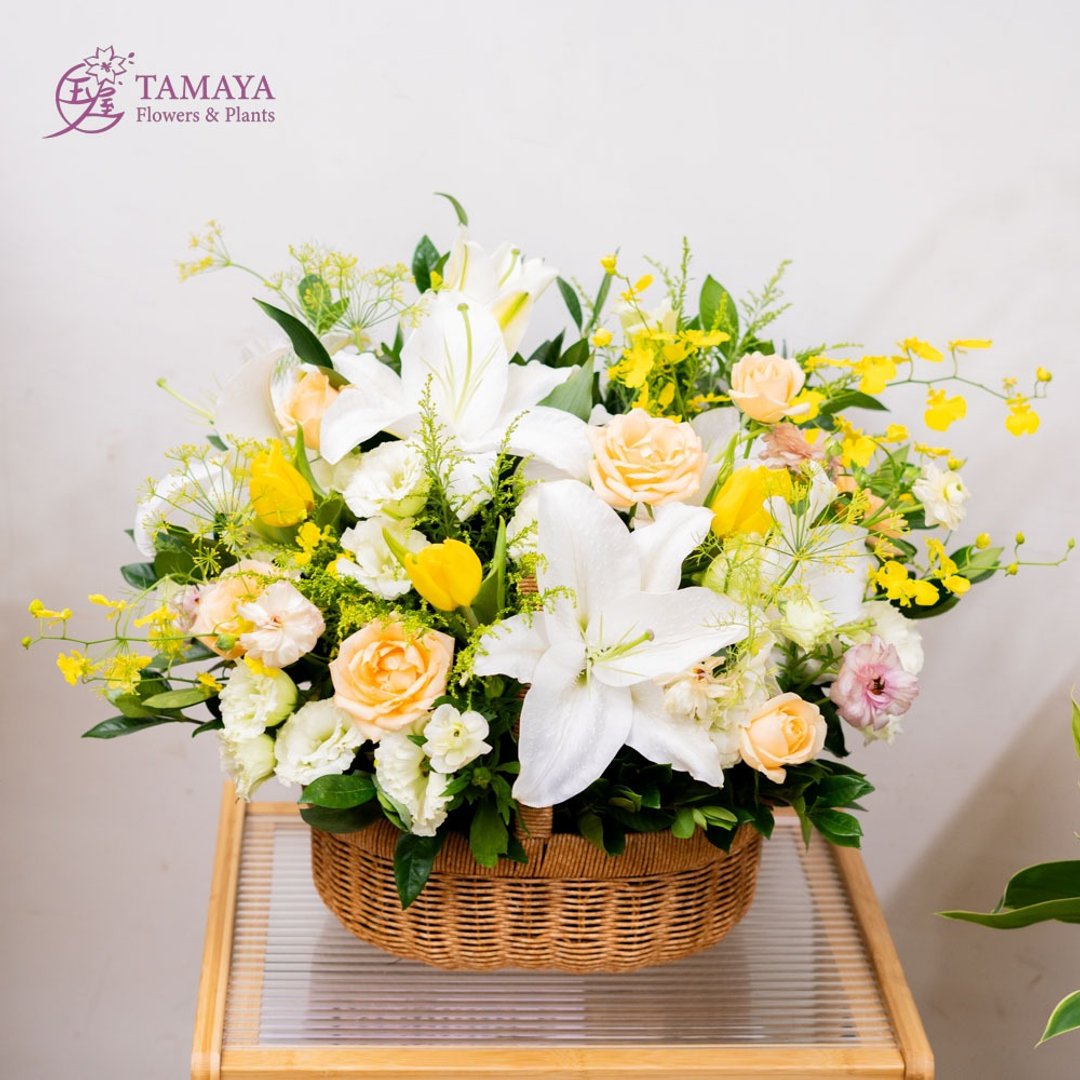 晨曦 | 白百合 黄白色系鲜花篮 - 花瓶/陶器 - 植物．花 白色
