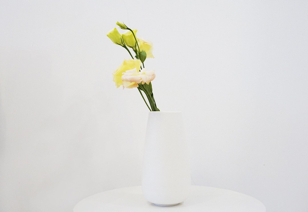简约北欧风花器－Tall Cylinder无光白 - 花瓶/陶器 - 瓷 白色