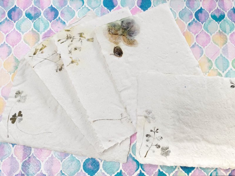 环保日晒再生手工纸套组 (花草款5入不挑款) - 木工/竹艺/纸艺 - 纸 白色