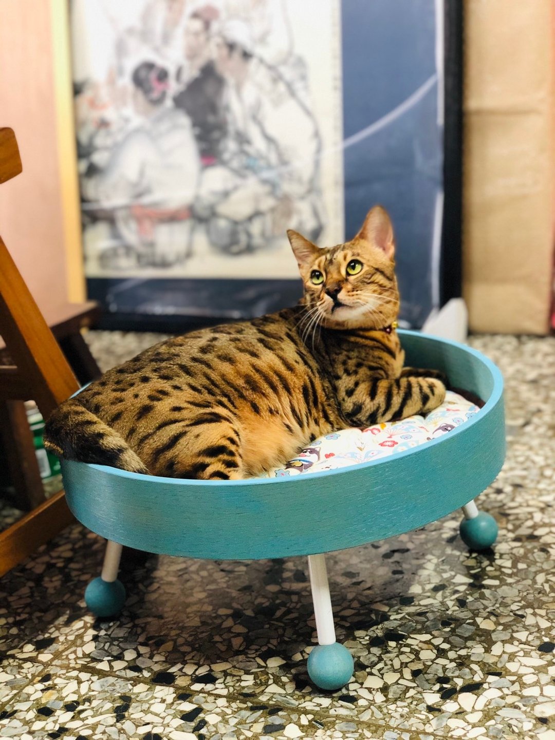 宠物床 猫床 小犬床 飞碟造型床 圆形 猫软布可洗 - 其他 - 木头 