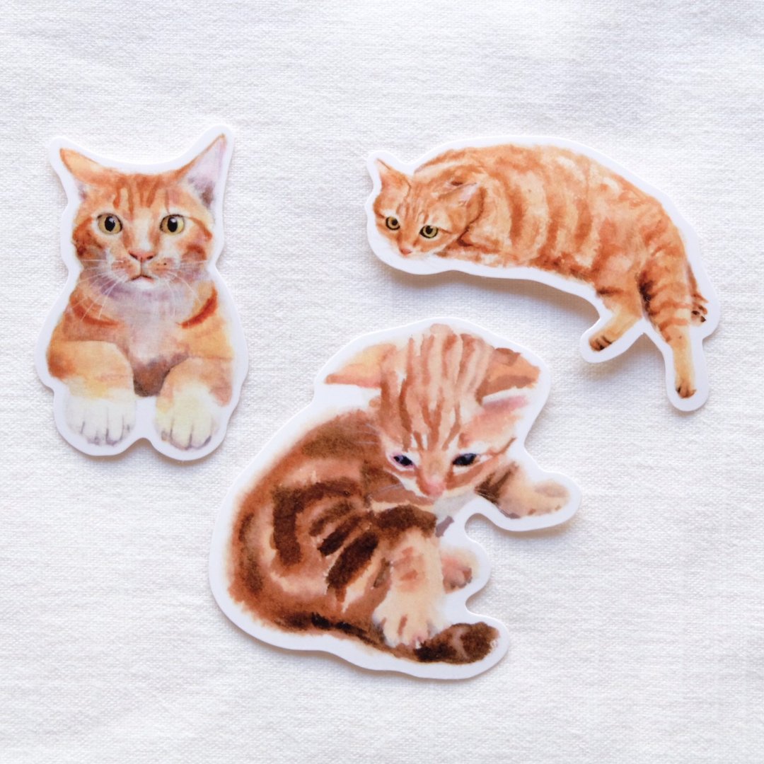 橘猫猫防水贴纸组 - 贴纸 - 塑料 橘色