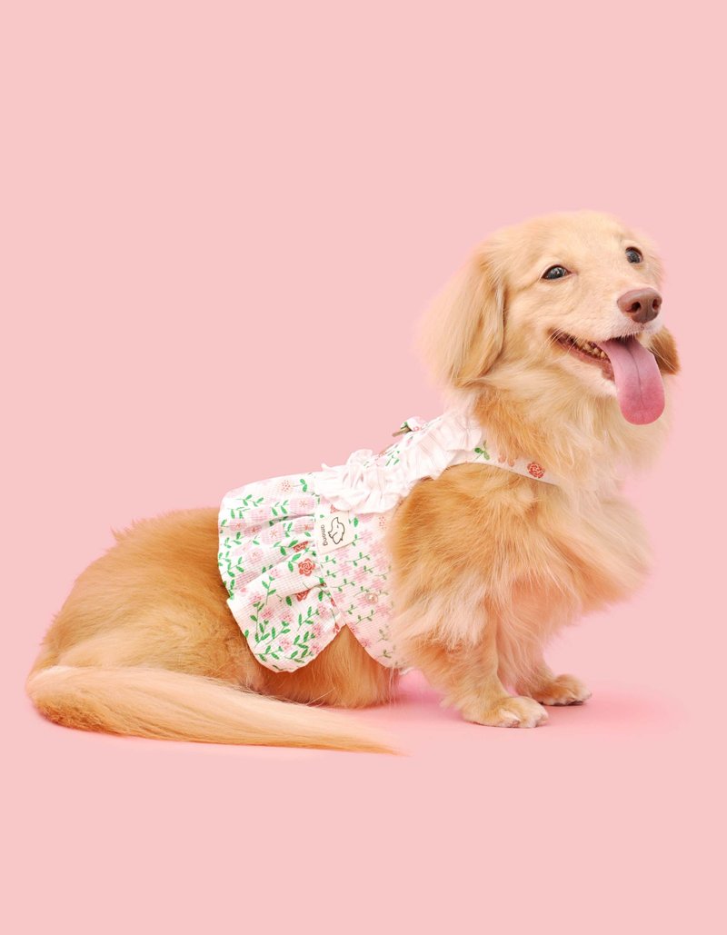 芳华 Among 宠物胸背衣 狗衣服 猫衣服 - 衣/帽 - 棉 白色
