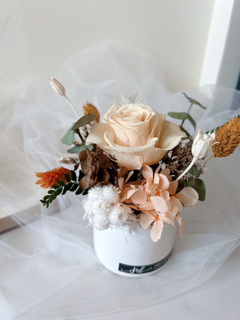 干燥花 永生花 小盆花 - 干燥花/捧花 - 植物．花 多色