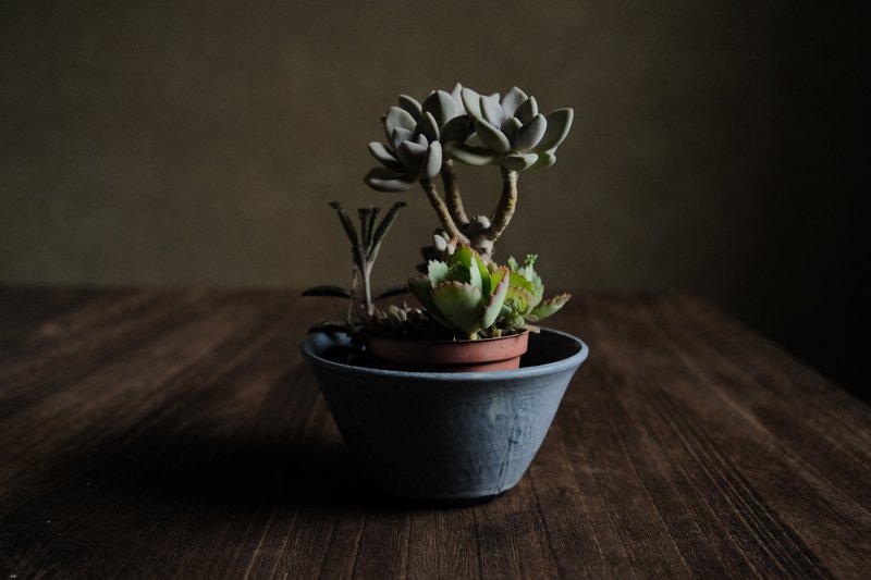 冬季的羊卓雍措・敞口花盆2 - 植栽/盆栽 - 陶 蓝色