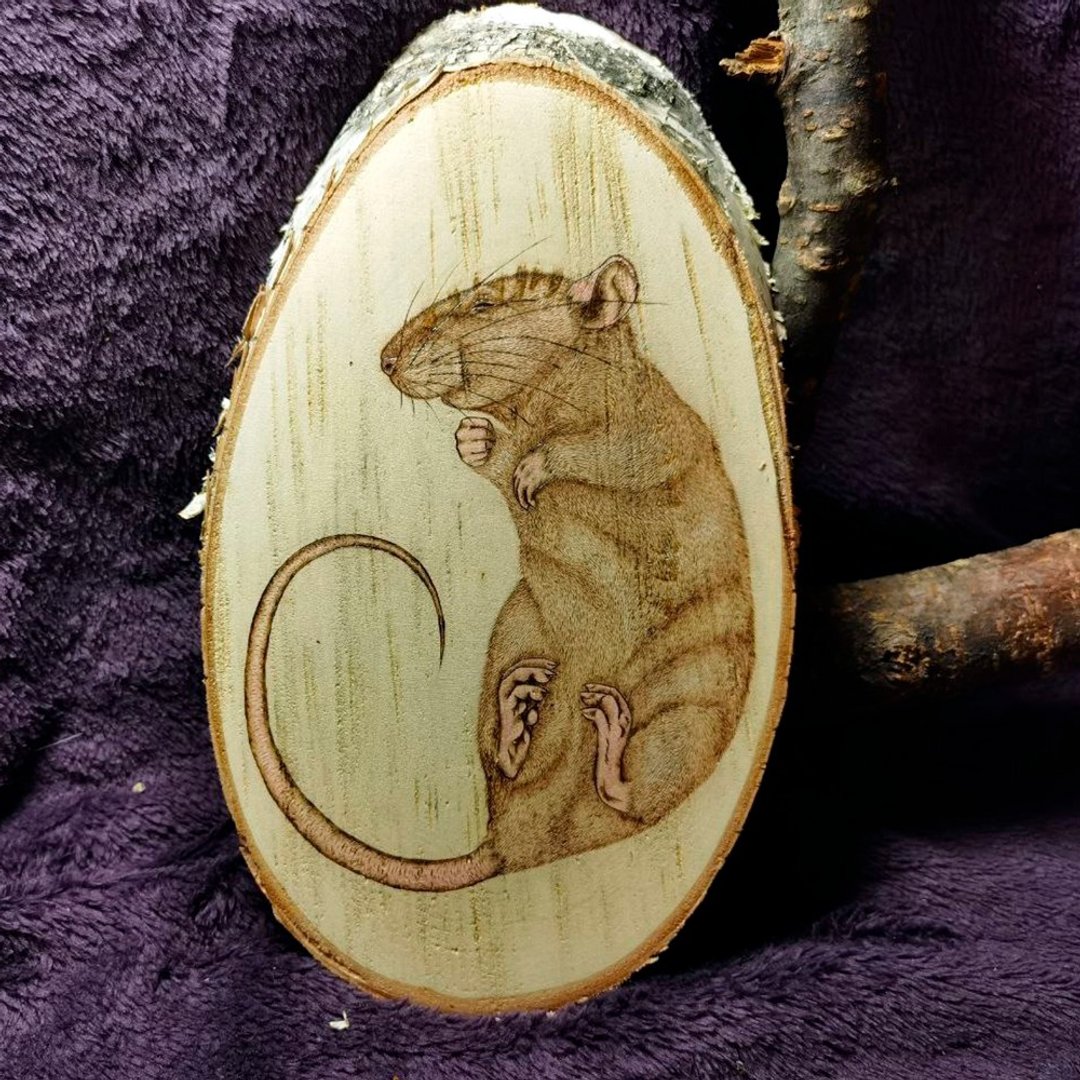 Woodburning sleeping rat - 墙贴/壁贴 - 木头 咖啡色