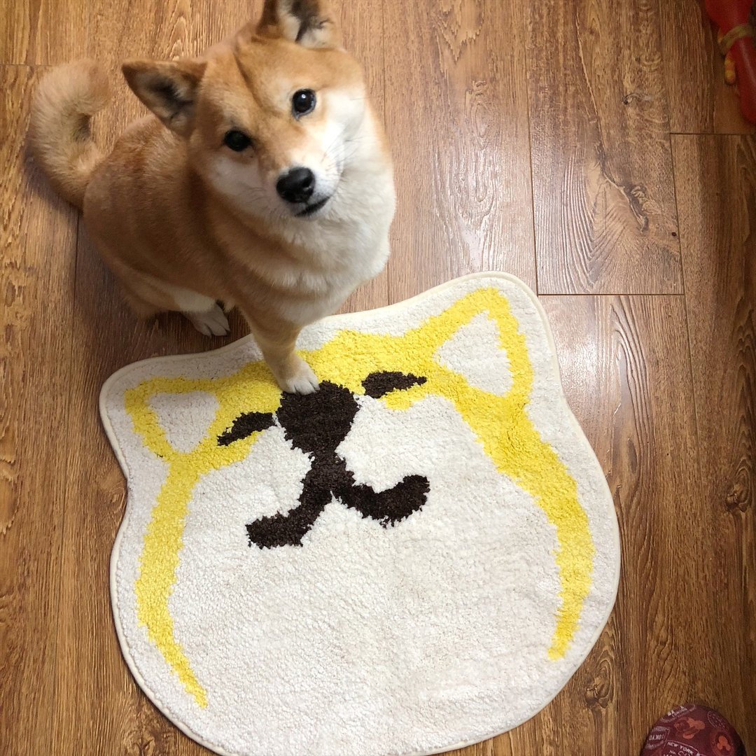 仓屋 大脸柴犬表情防滑地垫  四款 - 地垫/地毯 - 聚酯纤维 橘色