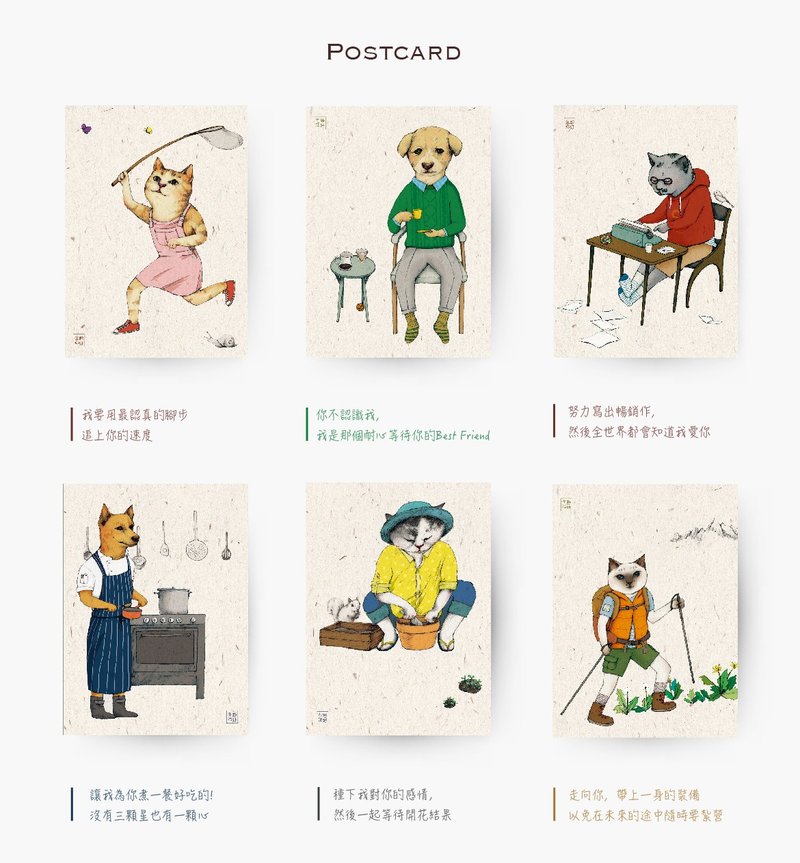 生活静好套卡6张 - 卡片/明信片 - 纸 橘色