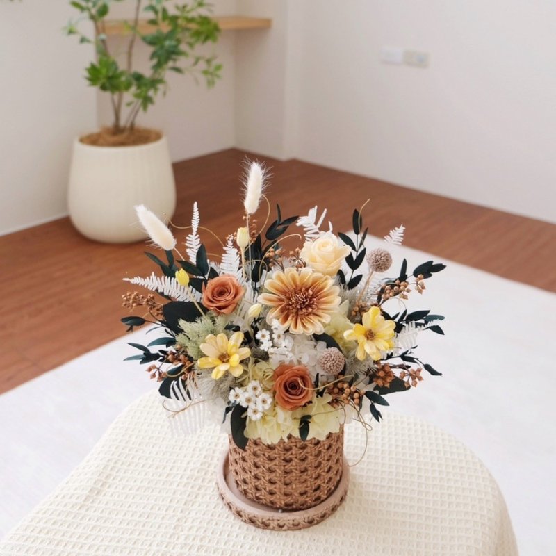 假期的午后阳光永生盆花  森色 开幕花礼 乔迁贺礼 - 干燥花/捧花 - 植物．花 橘色