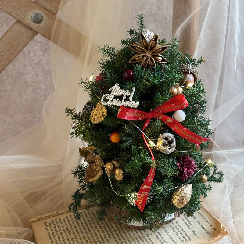 蓬蓬的圣诞小树 永生圣诞树 永生雪松 圣诞树 - 干燥花/捧花 - 植物．花 绿色