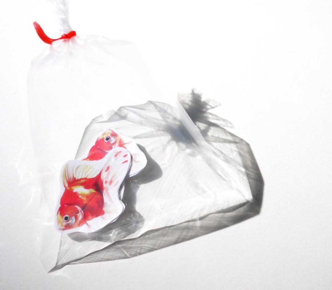 满载而归金鱼贴纸包5入 - 贴纸 - 纸 红色