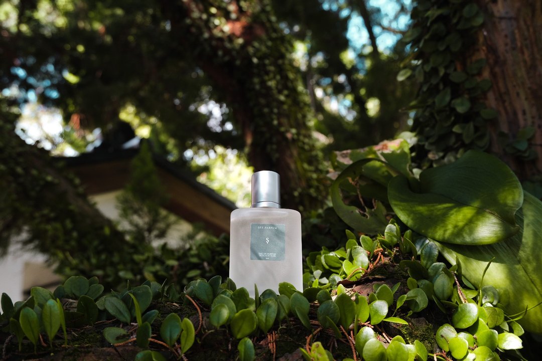 COMFORT ZONE 树适圈 - 10ml/30ml 香氛喷雾 (草本、花香调) - 香薰/精油/线香 - 其他材质 
