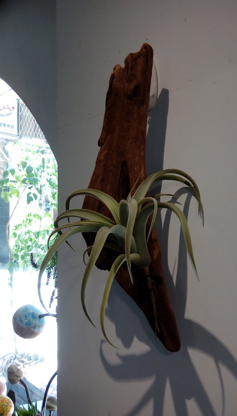 小绿绿与木木  黑手指朋友好礼  居家妆点 省时省力又美丽 - 植栽/盆栽 - 木头 咖啡色