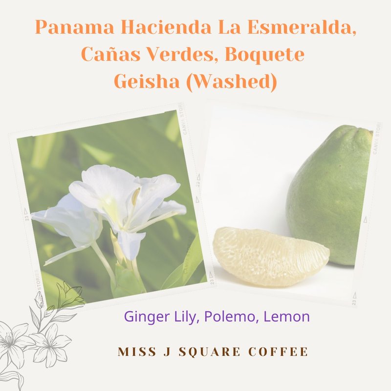 Panama Hacienda La Esmeralda Geisha (Green Lab) Washed - 咖啡 - 其他材质 红色