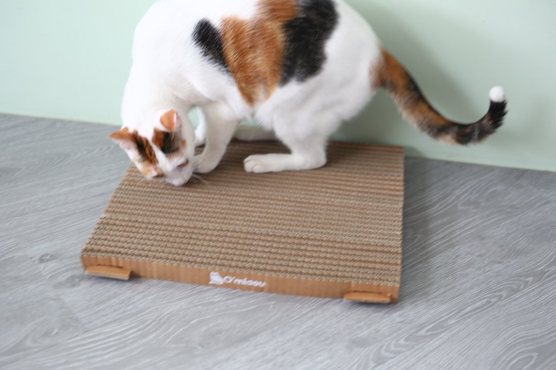 猫抓板  双面一片式 双面可抓 猫用品  Boxkitty 瓦楞纸 猫玩具 - 抓板/跳台 - 纸 卡其色