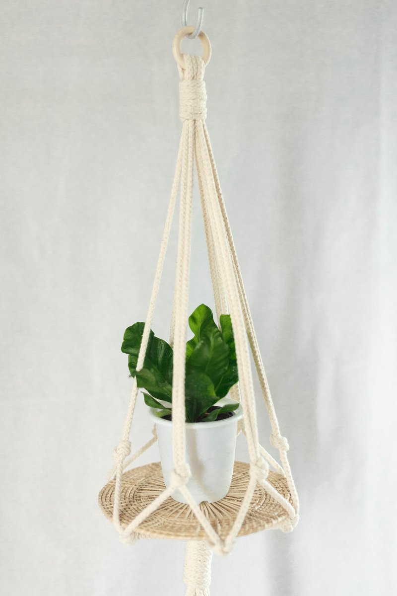 Macrame Plant Hanger / SSimple knots - 植栽/盆栽 - 棉．麻 白色