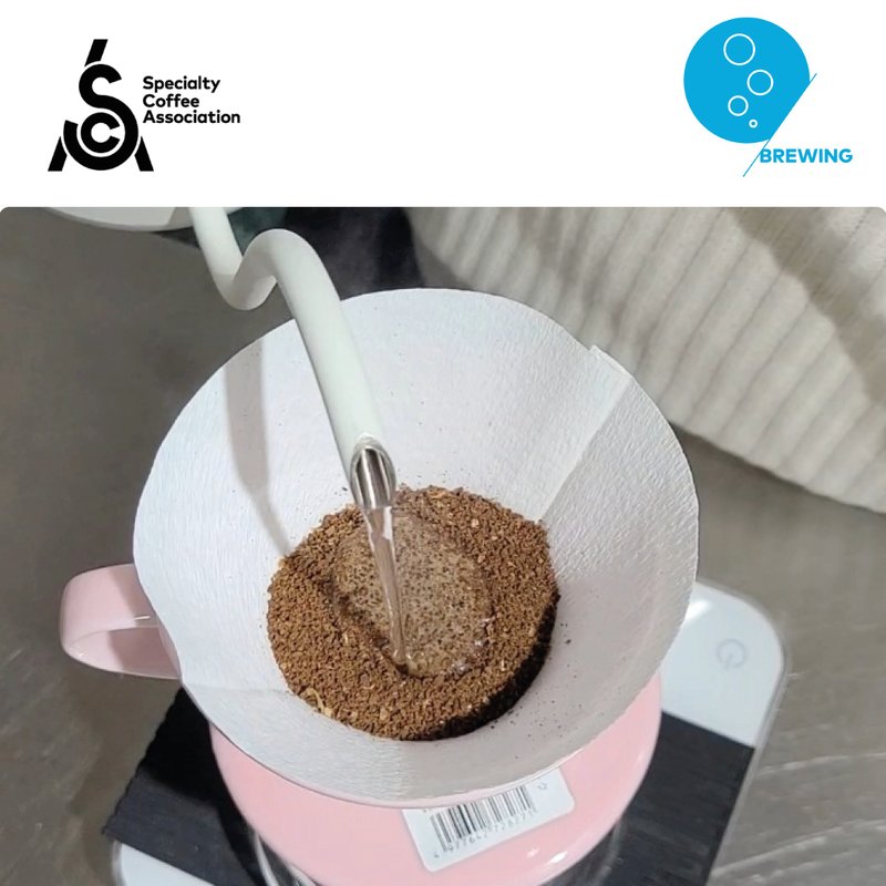 SCA 精品咖啡协会冲煮初级课程 - 美食 - 其他材质 