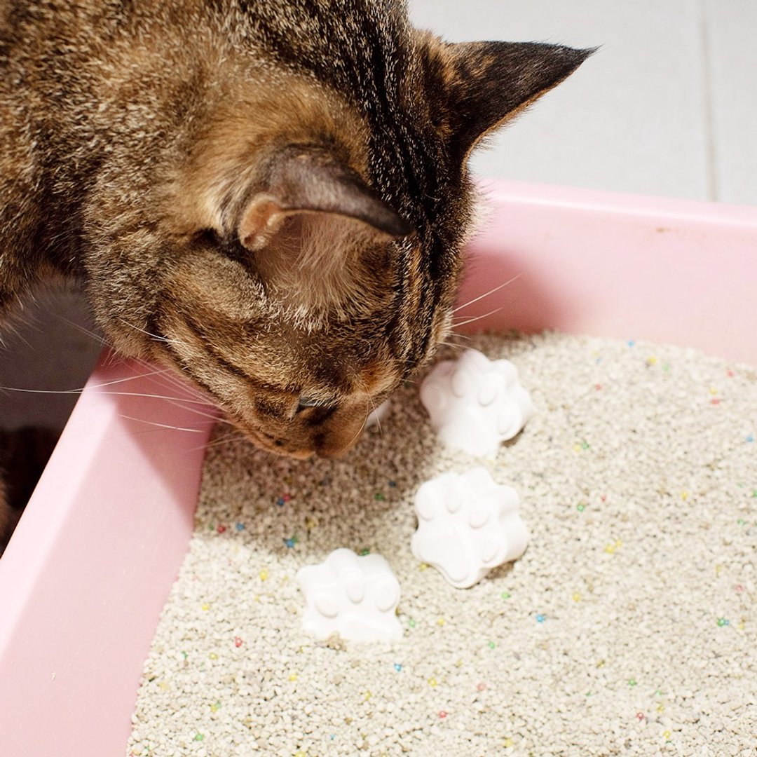 QIDINA 16颗 台湾手工猫砂专用除臭去味防霉藻土块 - 猫砂/猫砂垫 - 其他材质 白色