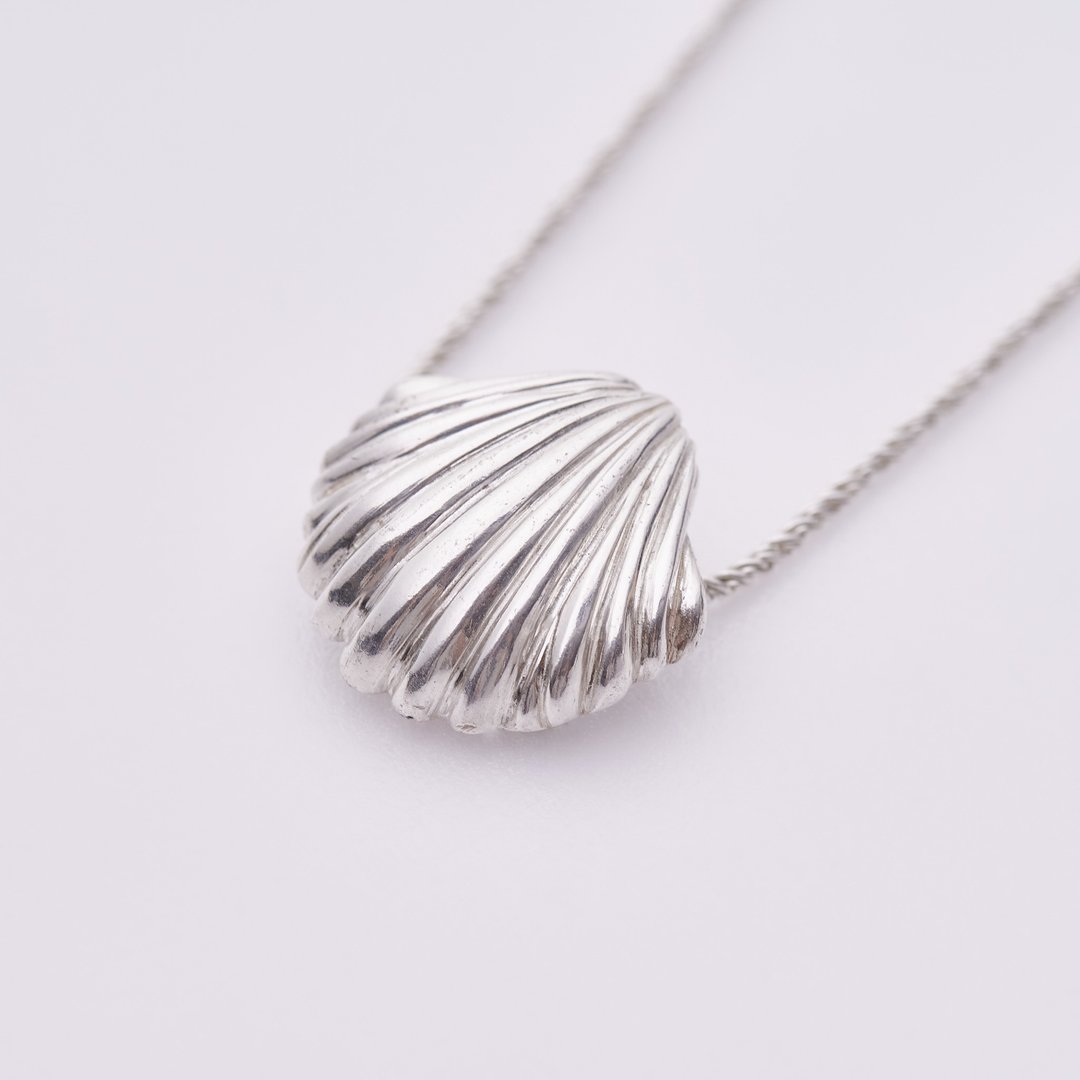 贝壳Y字链 Y-Type shell necklace - 项链 - 纯银 