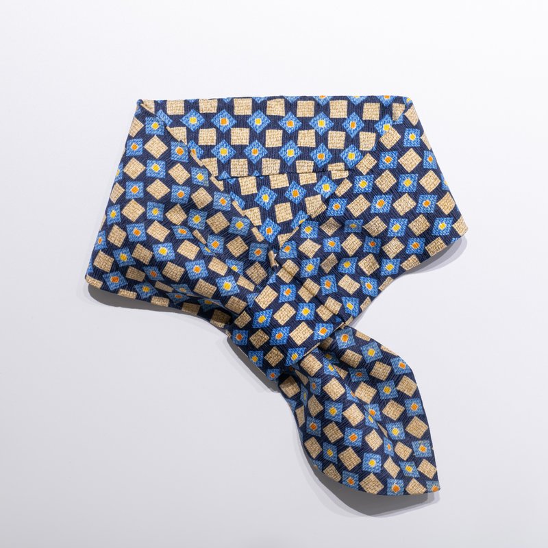 aileron tie - 领带/领带夹 - 丝．绢 蓝色